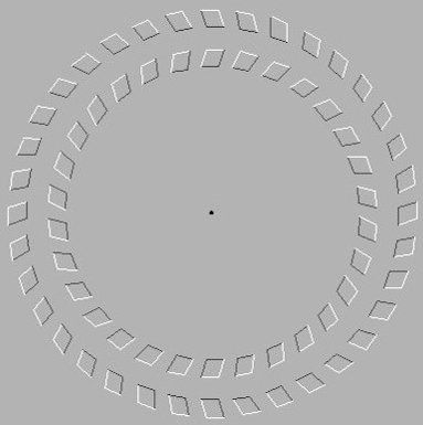 267951.jpg