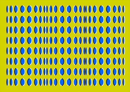 268341.jpg